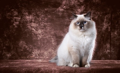 9个不需要门面的生意